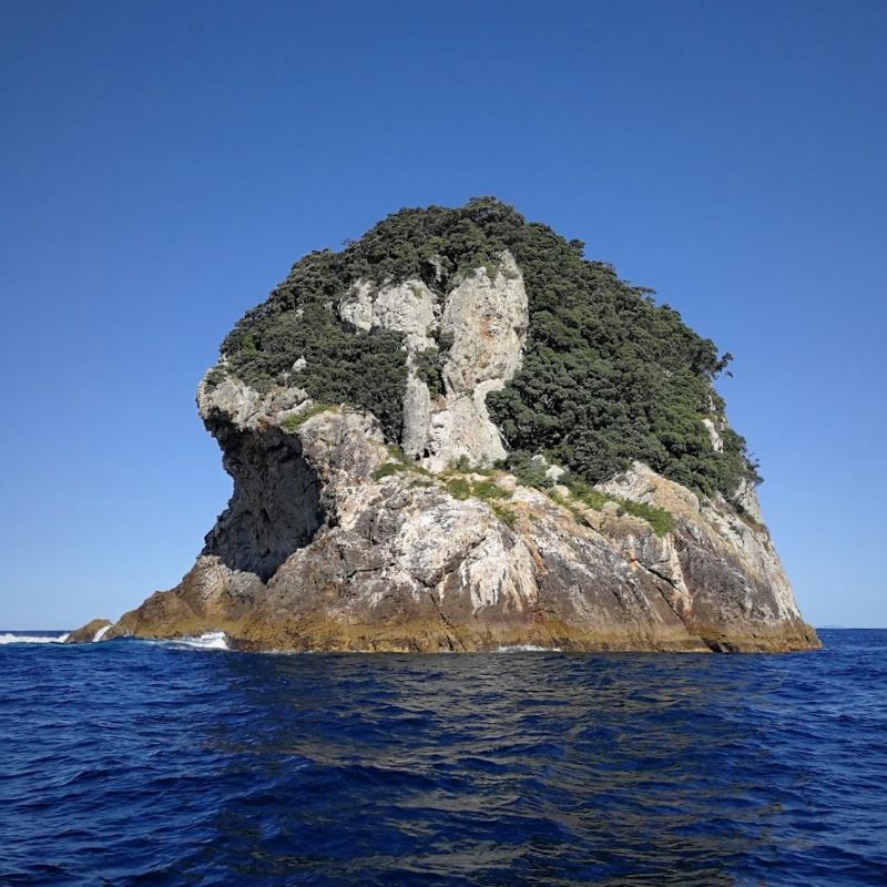 Project 6 image